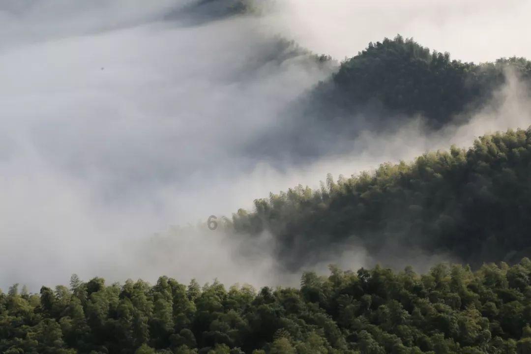如何回复男生说下雨了？游戏画面